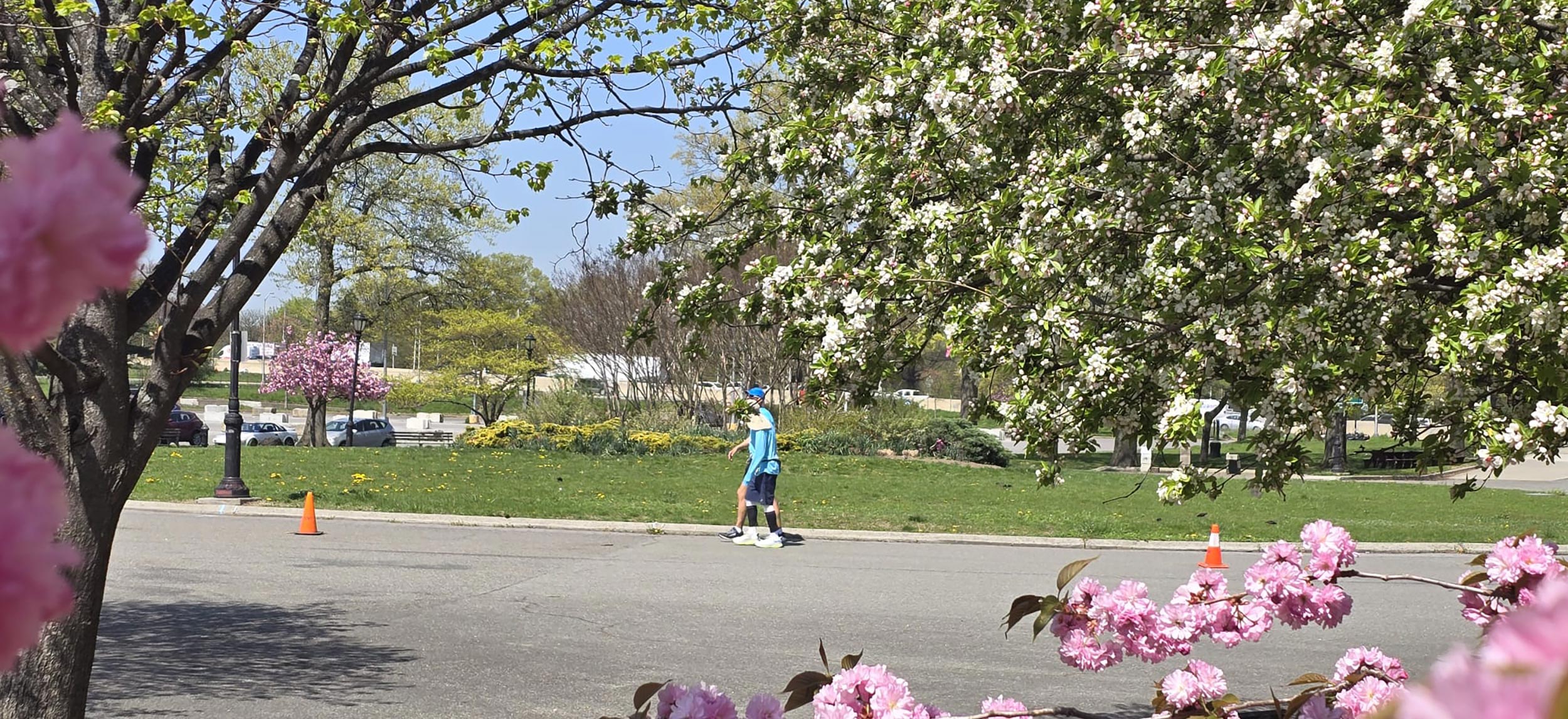 Sri Chinmoy Ten-, Six- and Three-Day Races 2026