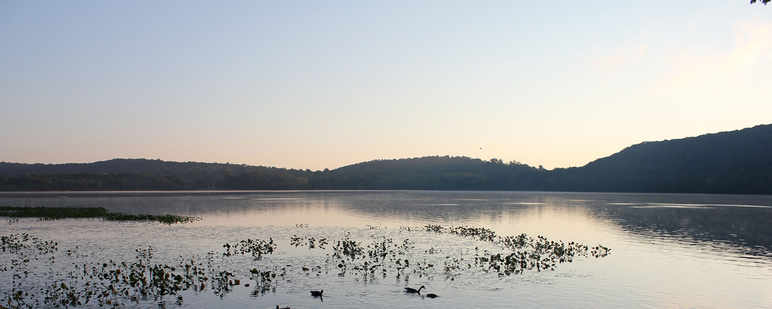 The Sri Chinmoy Marathon