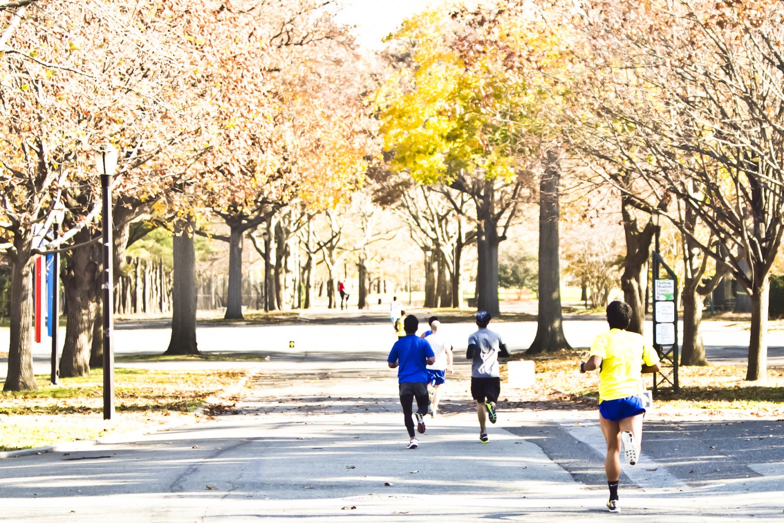 Sri Chinmoy 5K & 10K